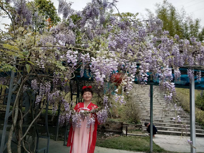 莉莉的第一张照片--屏南婚介网